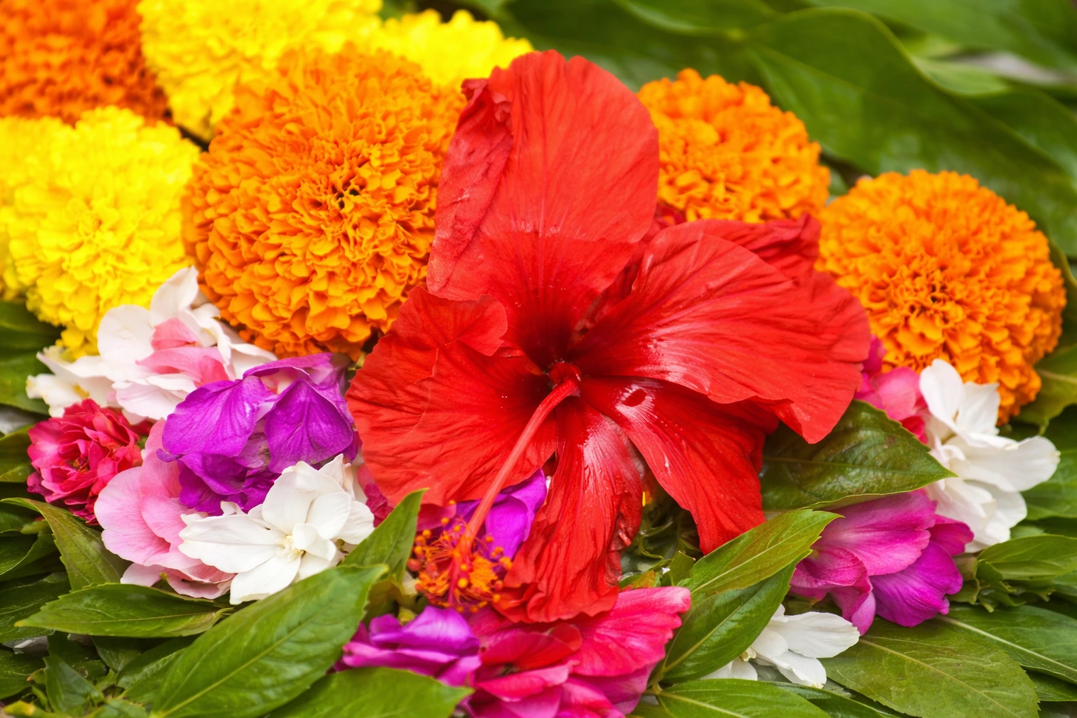 Phool Chadhane Ke Niyam | फूल चढ़ाने के नियम - Bhakti Bharat Ki