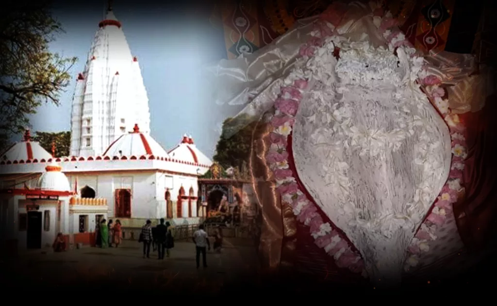 maa-samaleswari-dhabalamukhi-besa